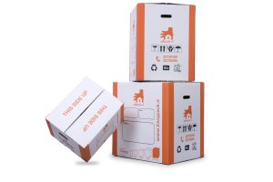 کارتن اسباب کشی ایزی پک