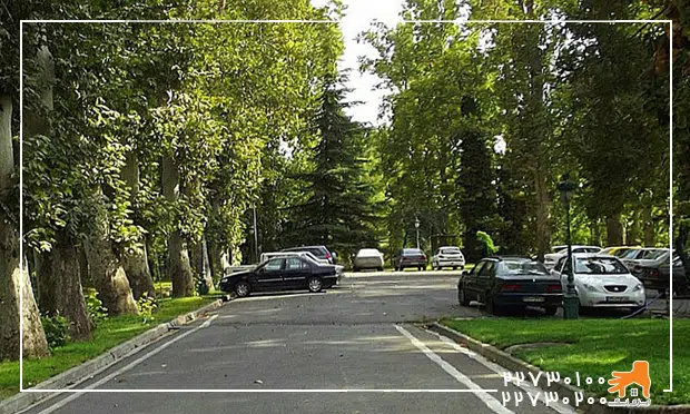 اسباب کشی در نیاوران
